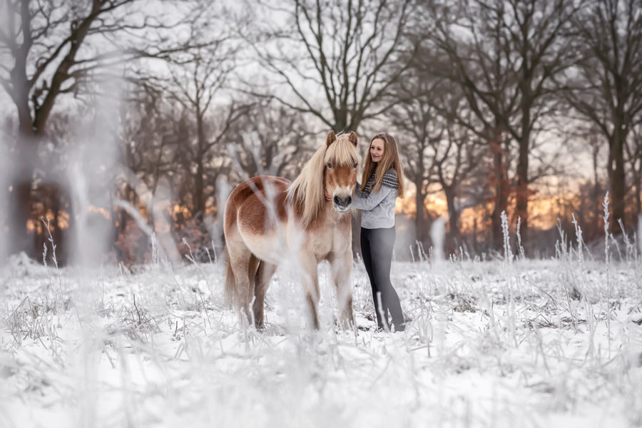 Pferdefotografie